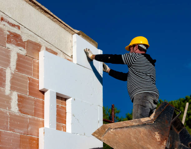 Best Cellulose Insulation  in Petersburg, WV