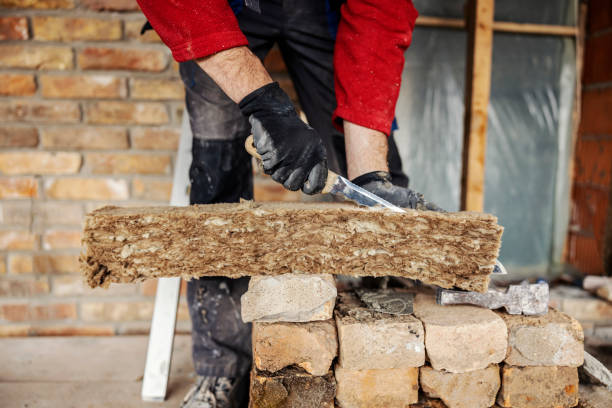 Best Local Insulation Services  in Petersburg, WV