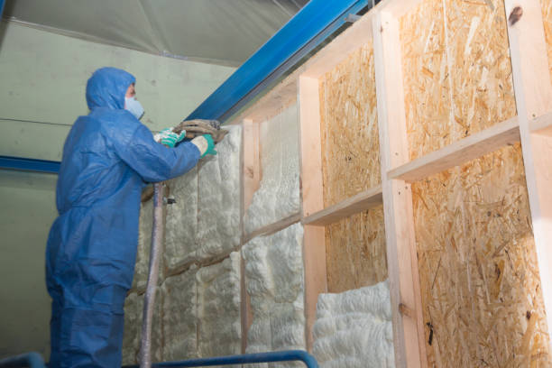 Best Blown-in Insulation  in Petersburg, WV