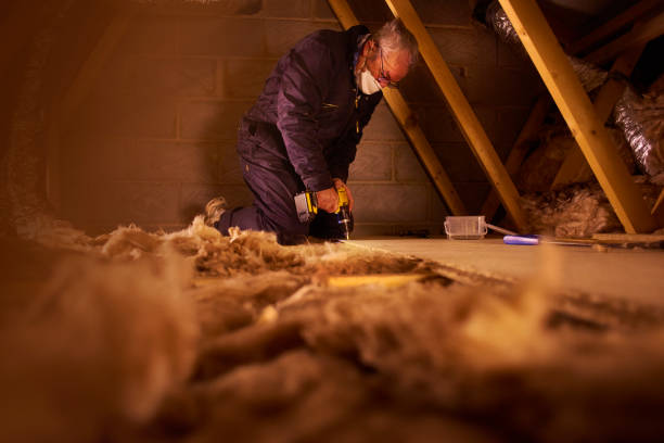 Best Crawl Space Insulation  in Petersburg, WV