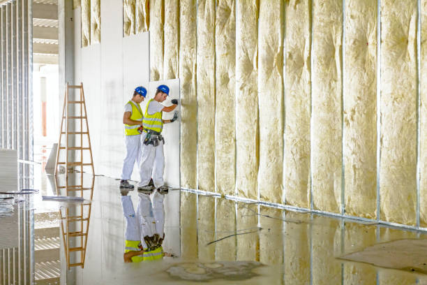 Best Insulation Inspection Services  in Petersburg, WV